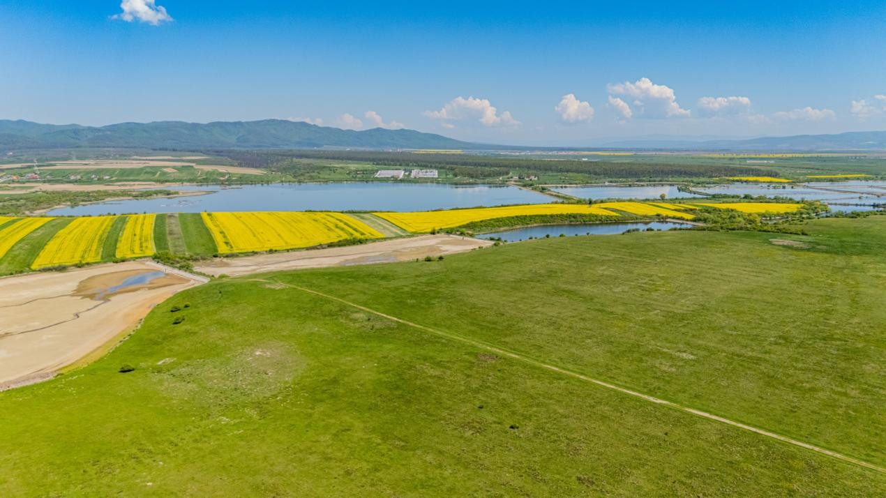     Teren extravilan 4.700 mp Codlea –Zona Lacurilor - ideal pentru investiție