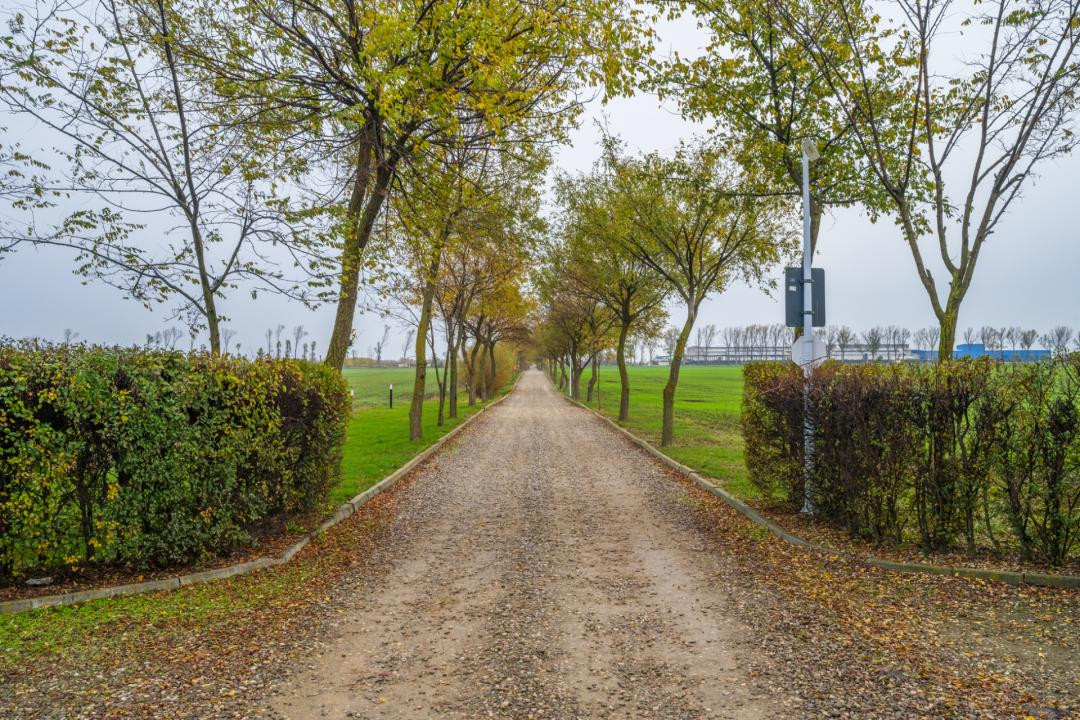Teren intravilan de vânzare | Cartier rezidențial deosebit | Afumați