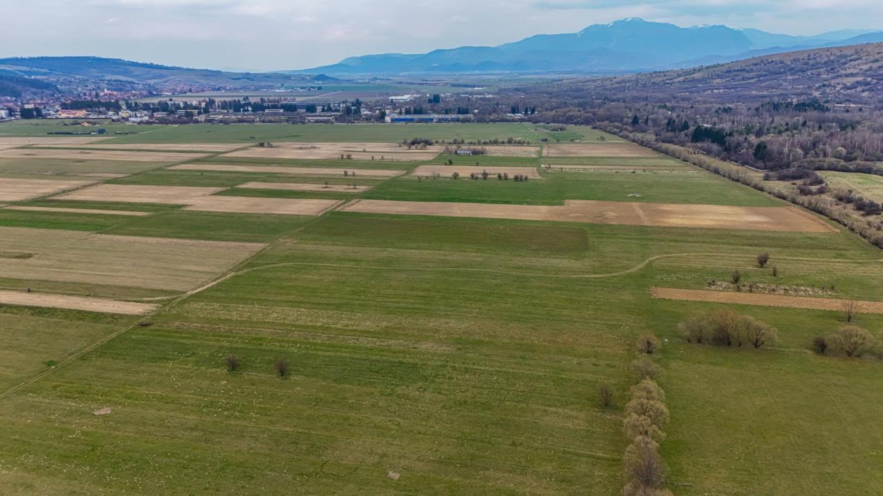 Teren intravilan – Zarnești, Zona Penny | 25 Euro/ mp