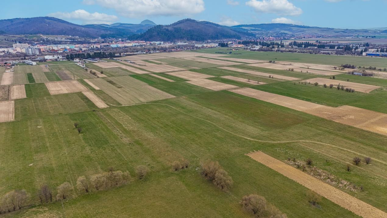 Teren intravilan – Zarnești, Zona Penny | 25 Euro/ mp