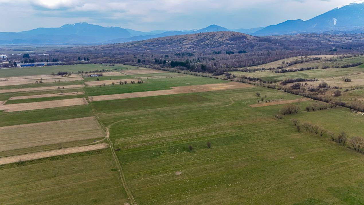 Teren intravilan – Zarnești, Zona Penny | 25 Euro/ mp