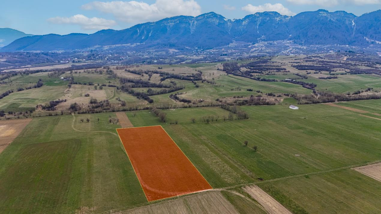 Teren intravilan – Zarnești, Zona Penny | 25 Euro/ mp