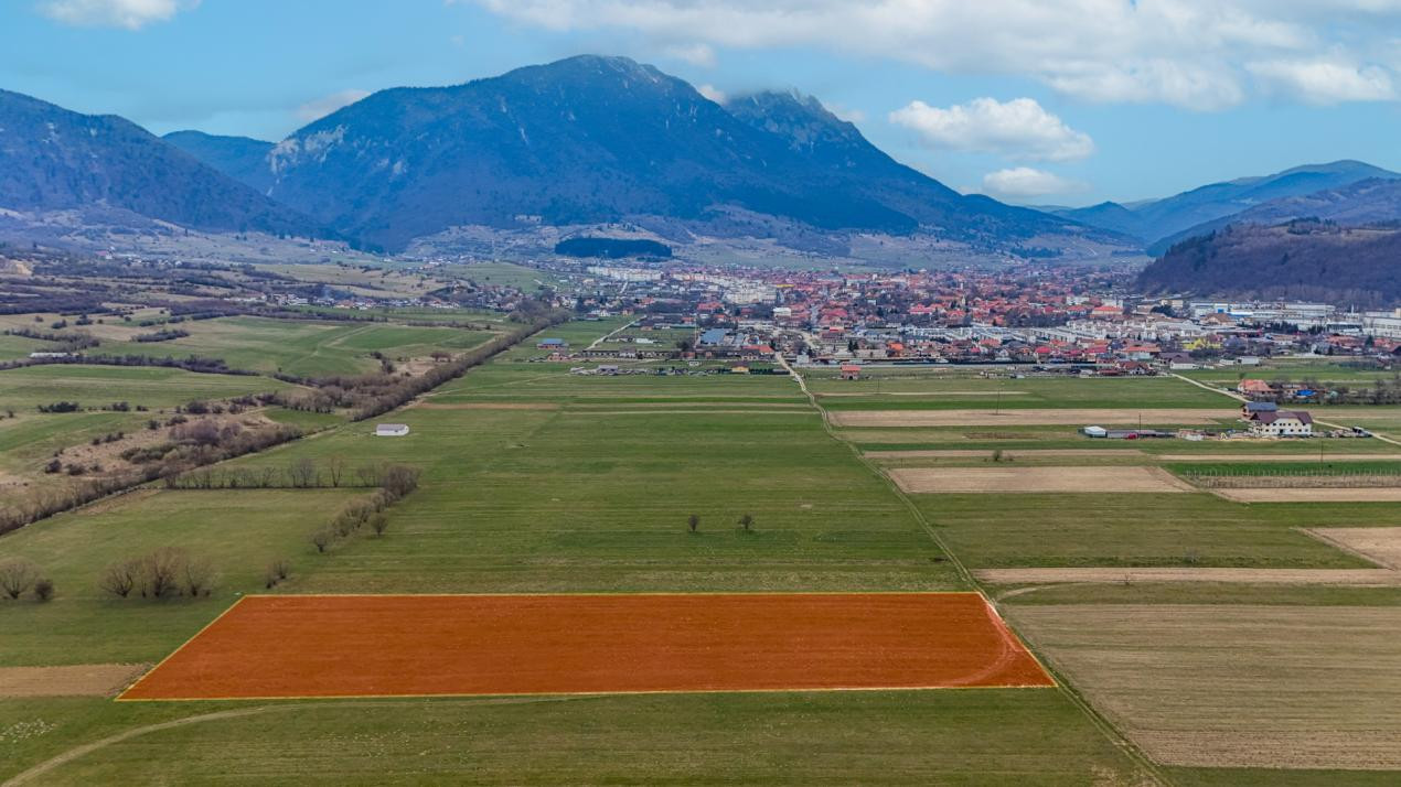Teren intravilan – Zarnești, Zona Penny | 25 Euro/ mp