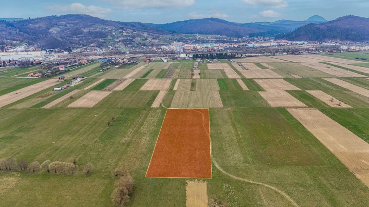 Teren intravilan – Zarnești, Zona Penny | 25 Euro/ mp