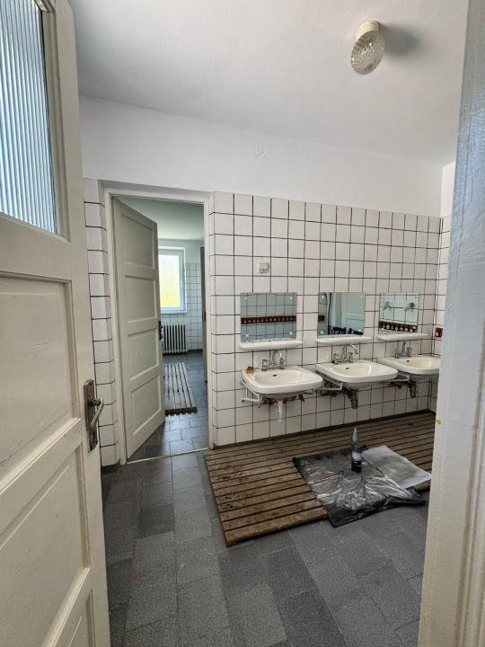 3 CASUTE IN MIJLOCUL NATURII