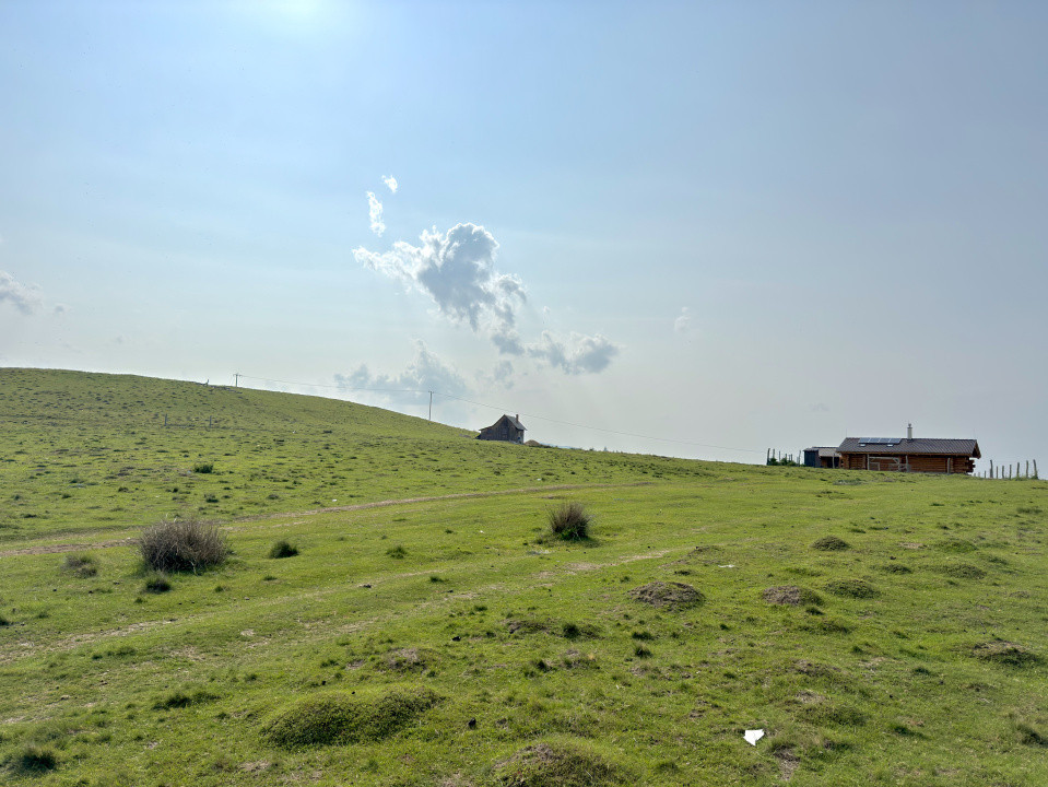     Teren 1003 mp în Păltiniș | Priveliște panoramică către munți