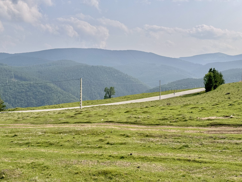     Teren 1003 mp în Păltiniș | Priveliște panoramică către munți