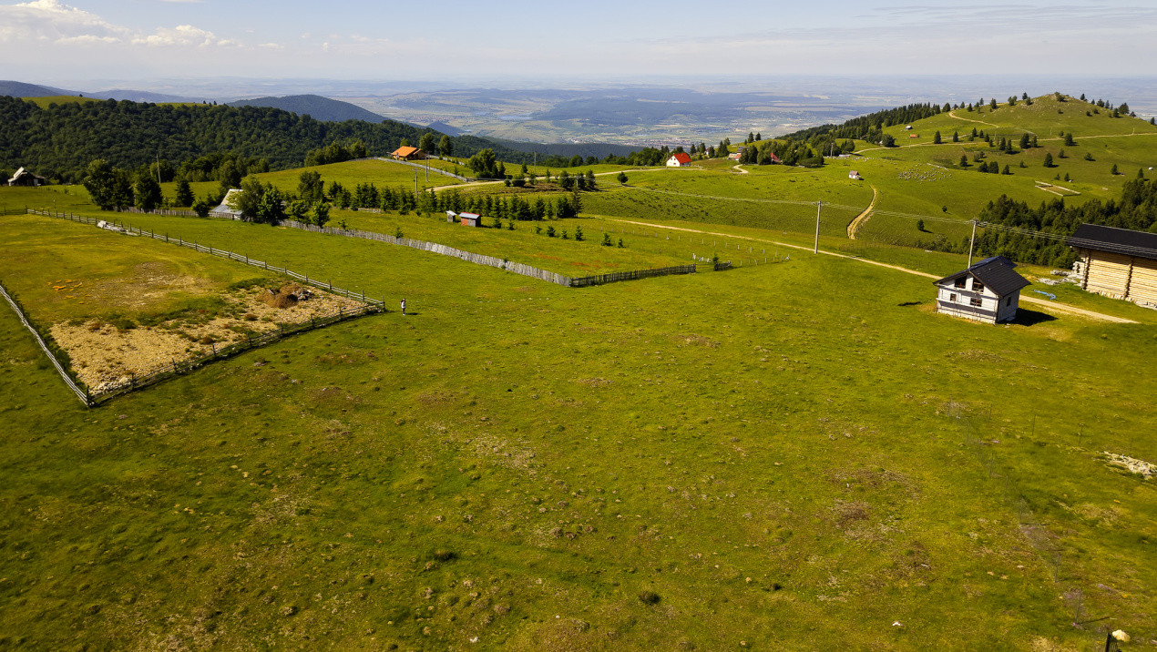     Teren 1003 mp în Păltiniș | Priveliște panoramică către munți