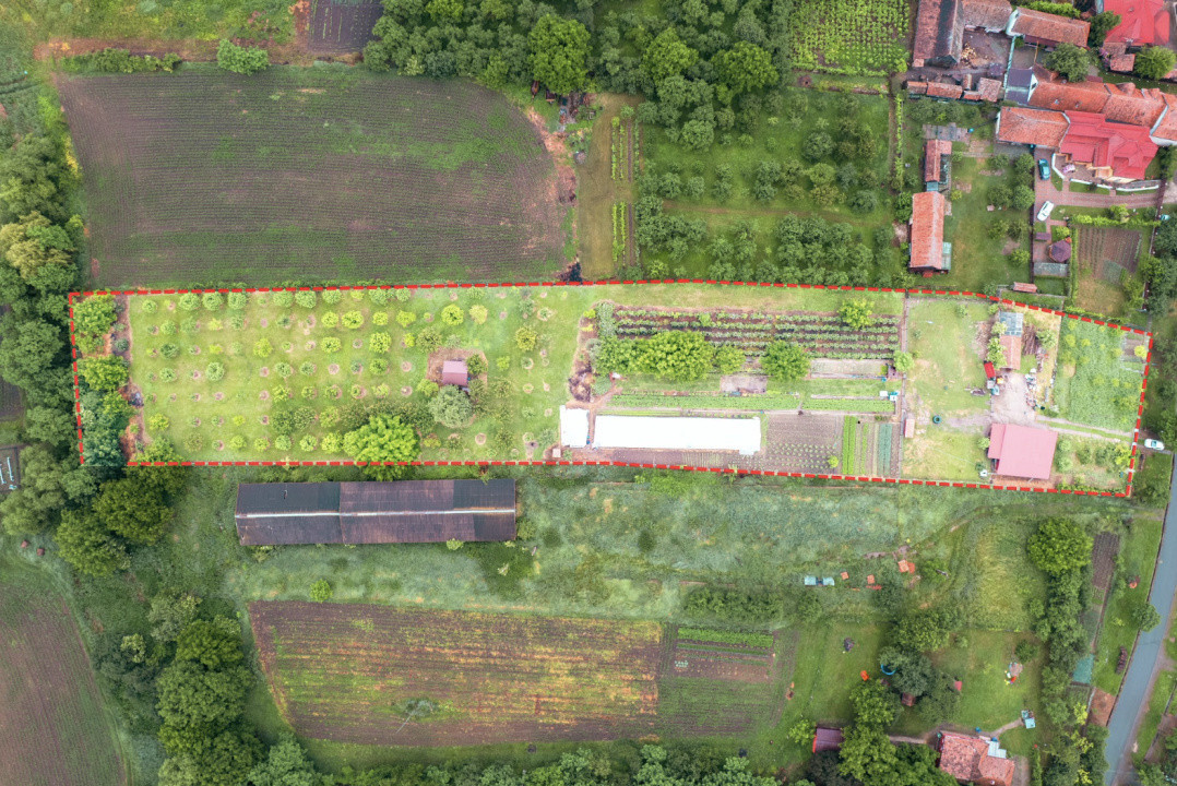 Domeniu de aproape 8.000 mp în inima Transilvaniei | Delenii, Județul Mureș