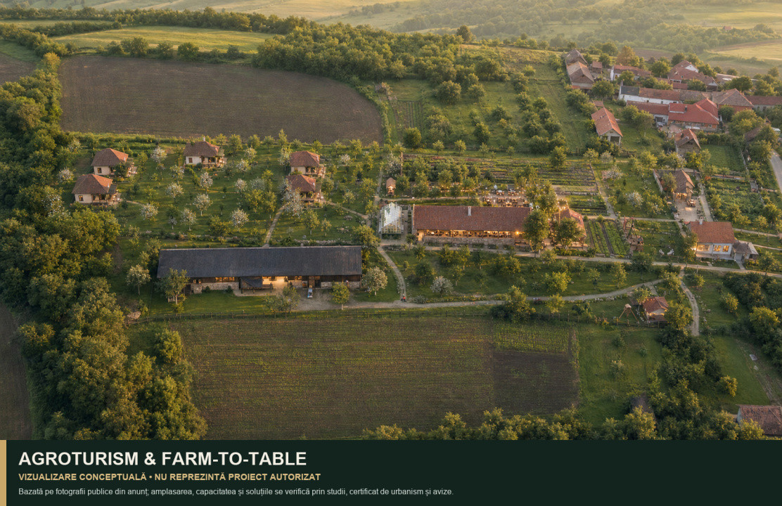Teren intravilan 7.979 mp | ideal glamping, pensiune sau investiție | Mureș