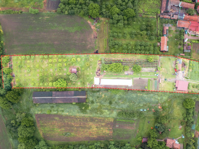 Domeniu de aproape 8.000 mp în inima Transilvaniei | Delenii, Județul Mureș