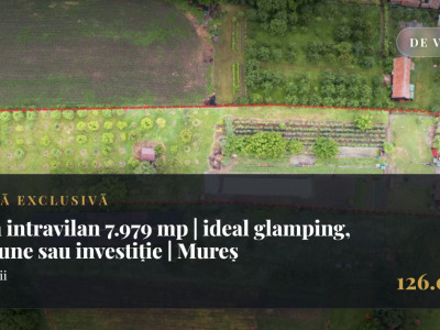 Teren intravilan 7.979 mp | ideal glamping, pensiune sau investiție | Mureș