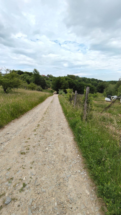 Teren Intravilan 977 mp de Vânzare în Cisnădioara – Locație de Poveste