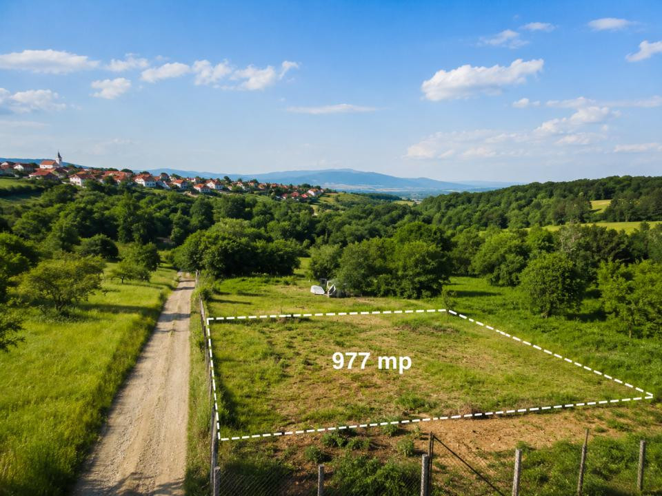 Teren Intravilan 977 mp de Vânzare în Cisnădioara – Locație de Poveste