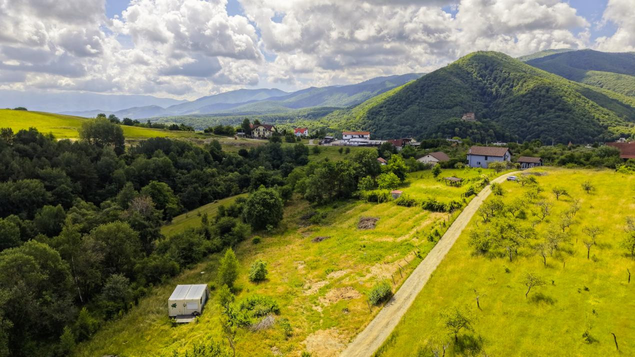 Teren Intravilan 977 mp de Vânzare în Cisnădioara – Locație de Poveste