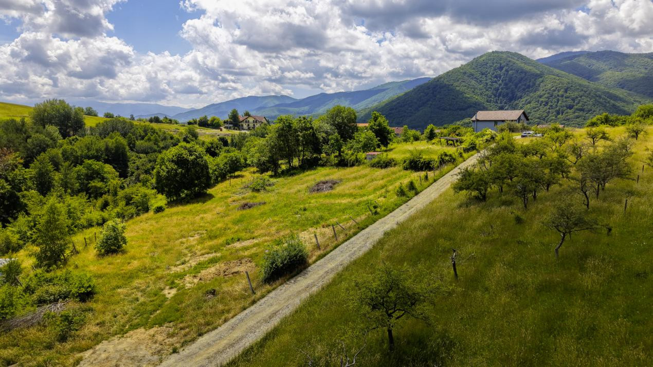 Teren Intravilan 977 mp de Vânzare în Cisnădioara – Locație de Poveste