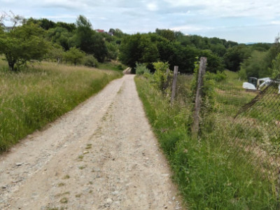 Teren Intravilan 977 mp de Vânzare în Cisnădioara – Locație de Poveste