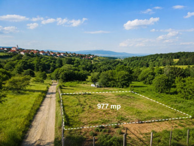 Teren Intravilan 977 mp de Vânzare în Cisnădioara – Locație de Poveste