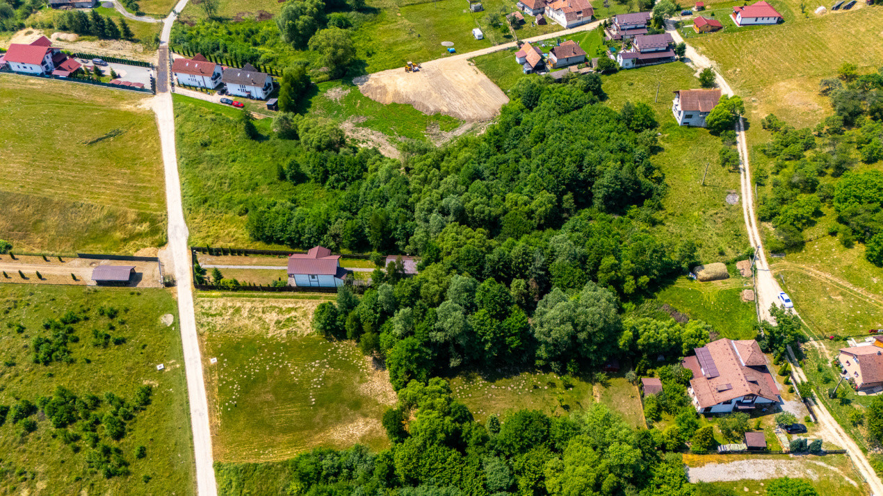 Teren intravilan 1173 mp cu utilități și cabană în Predeluț, Bran – Comision 0%