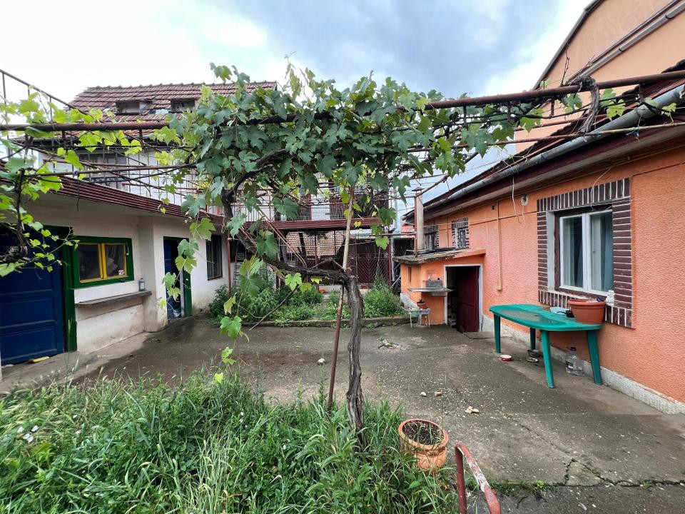 Casa cu gradina de vanzare