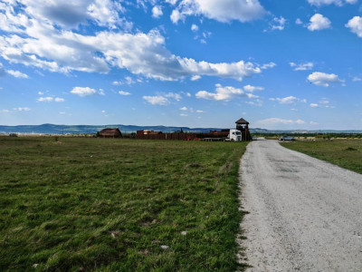 Teren 12.600 mp, front 56m la stradă asfaltată, vedere la munte 
