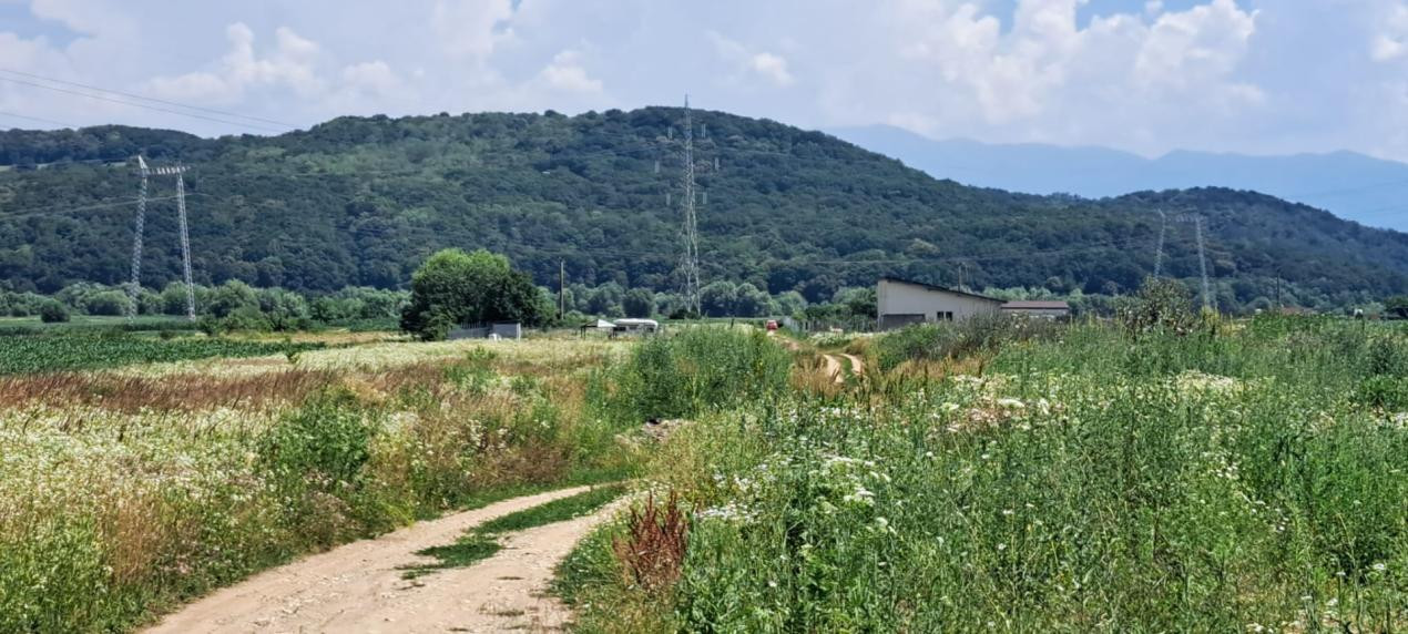 Teren de Vanzare zona Selimbar-Bungard 