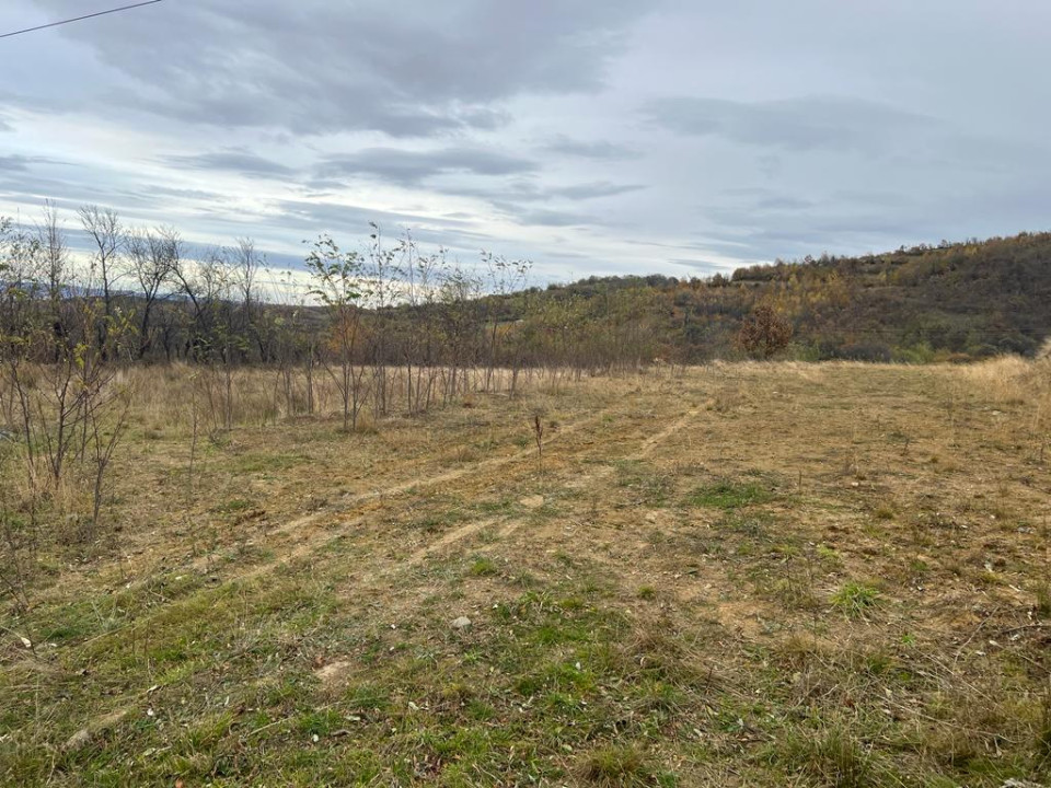 Teren intravilan Rasinari - SIBIU