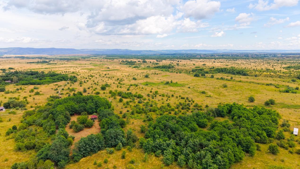 Teren extravilan de vânzare - Valea Avrigului, Sibiu