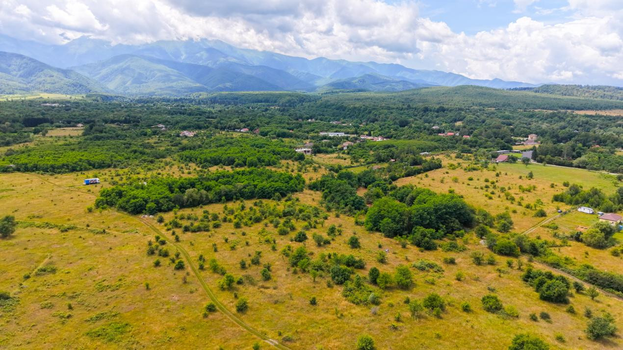Teren extravilan de vânzare - Valea Avrigului, Sibiu