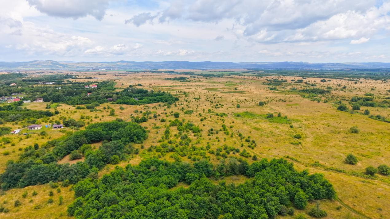 Teren extravilan de vânzare - Valea Avrigului, Sibiu