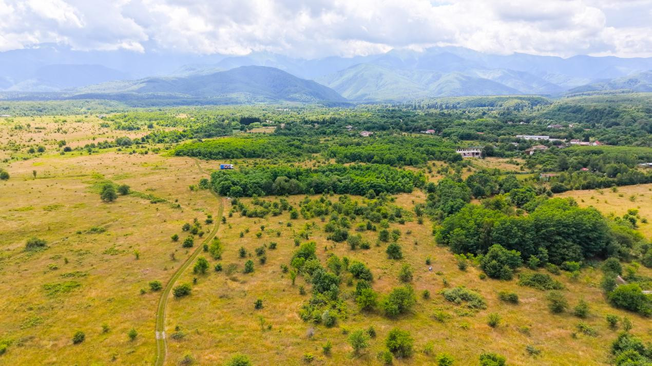 Teren extravilan de vânzare - Valea Avrigului, Sibiu