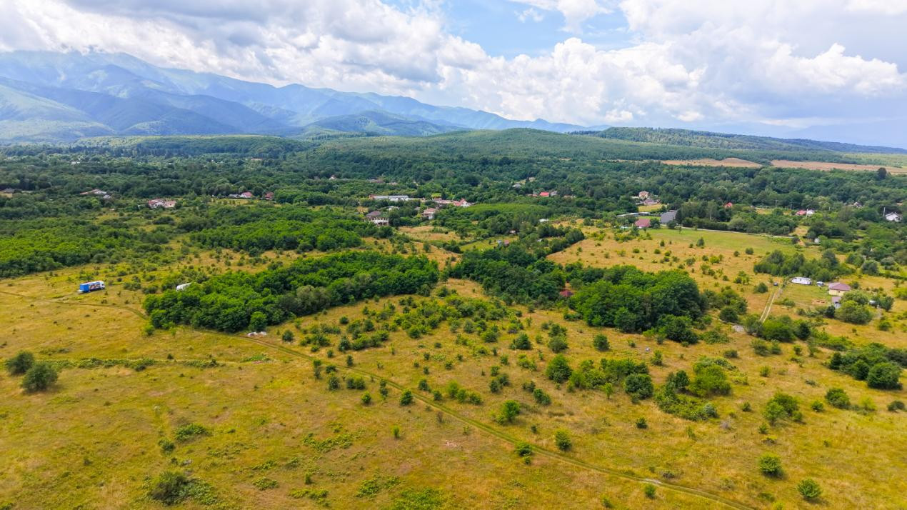 Teren extravilan de vânzare - Valea Avrigului, Sibiu