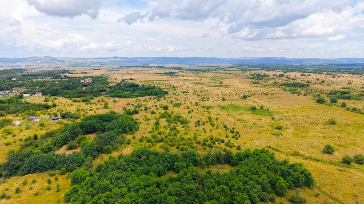 Teren extravilan de vânzare - Valea Avrigului, Sibiu