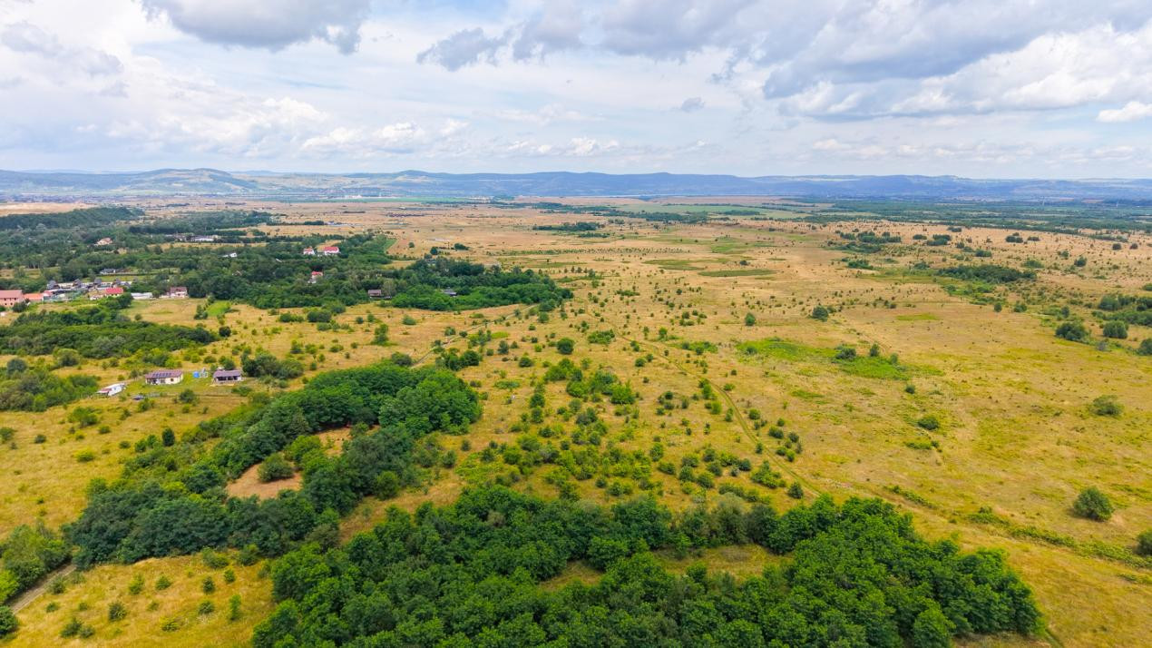 Teren extravilan de vânzare - Valea Avrigului, Sibiu