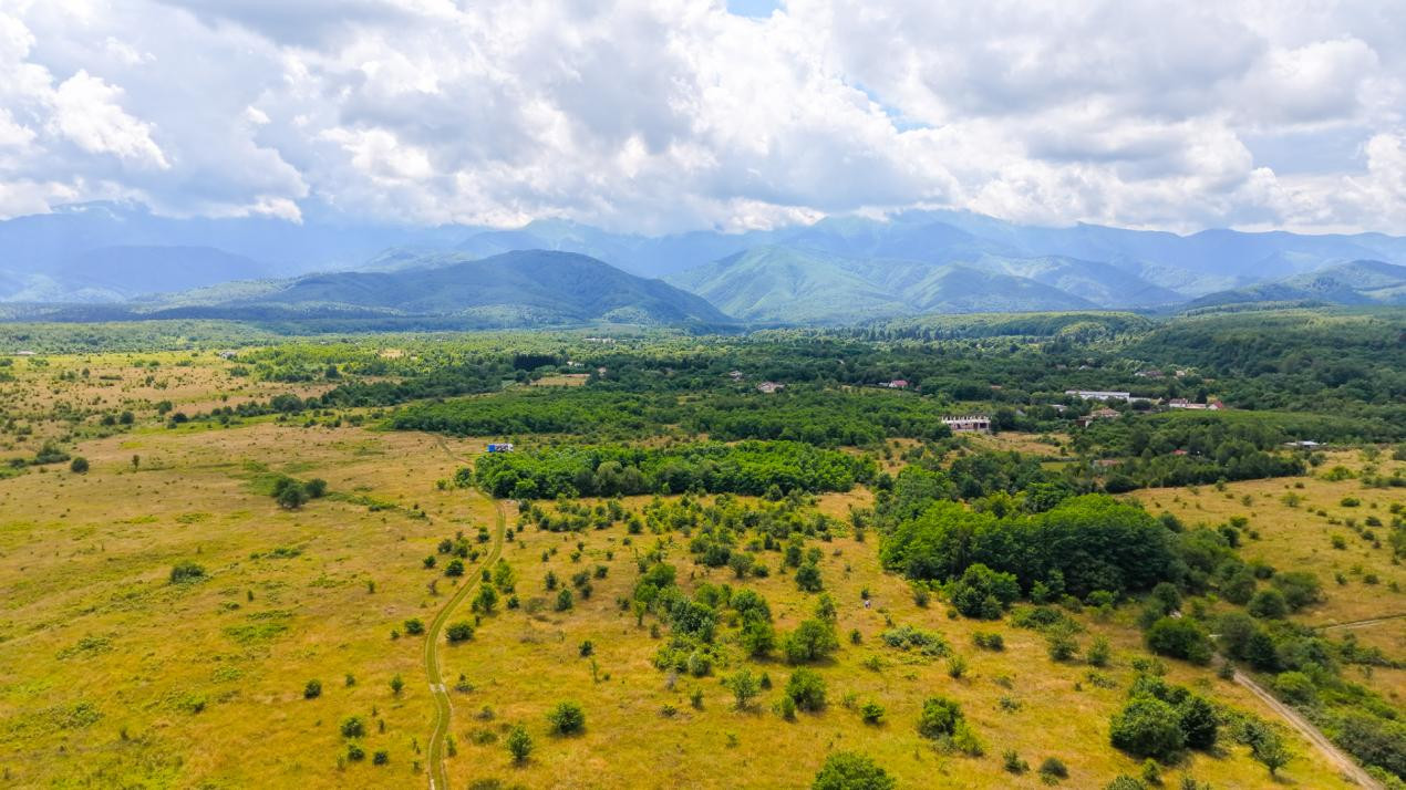Teren extravilan de vânzare - Valea Avrigului, Sibiu