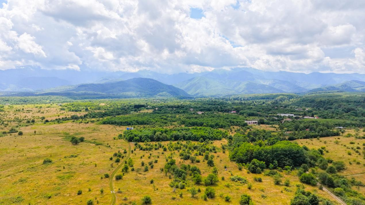 Teren extravilan de vânzare - Valea Avrigului, Sibiu
