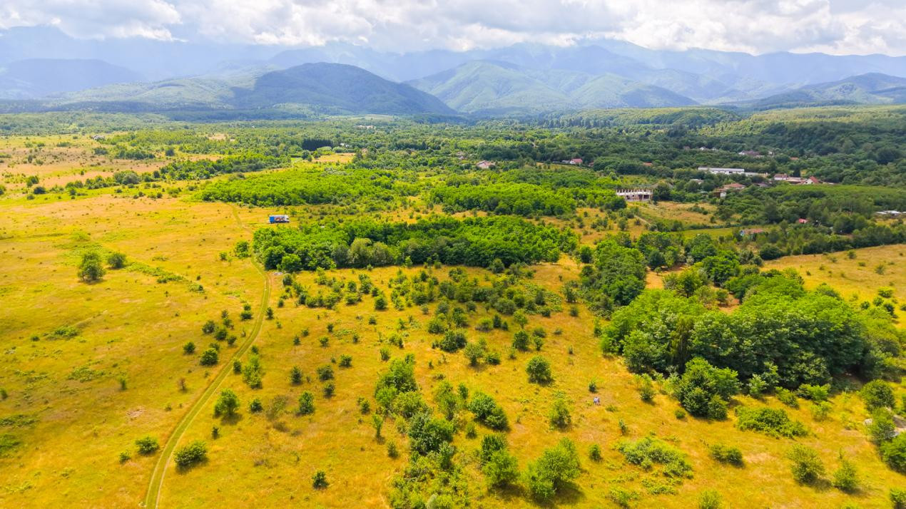 Teren extravilan de vânzare - Valea Avrigului, Sibiu