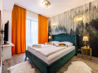 Apartament exclusivist cu 2 camere în Silver Mountain - Poiana Brasov