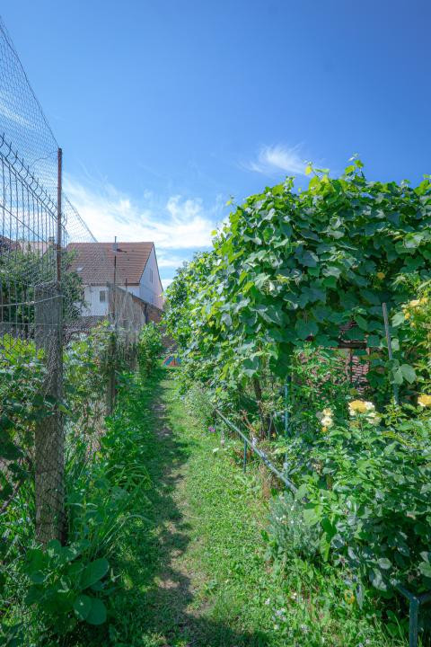 Apartament la casă, zonă liniștită și centrală — Str. Lupeni, Sibiu