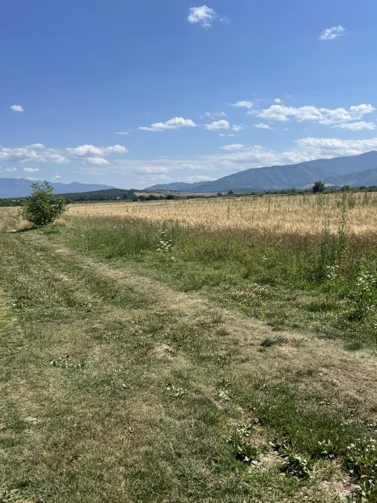 Teren 720 mp Seviș | 23 m front | Oportunitate investiție 24.480€