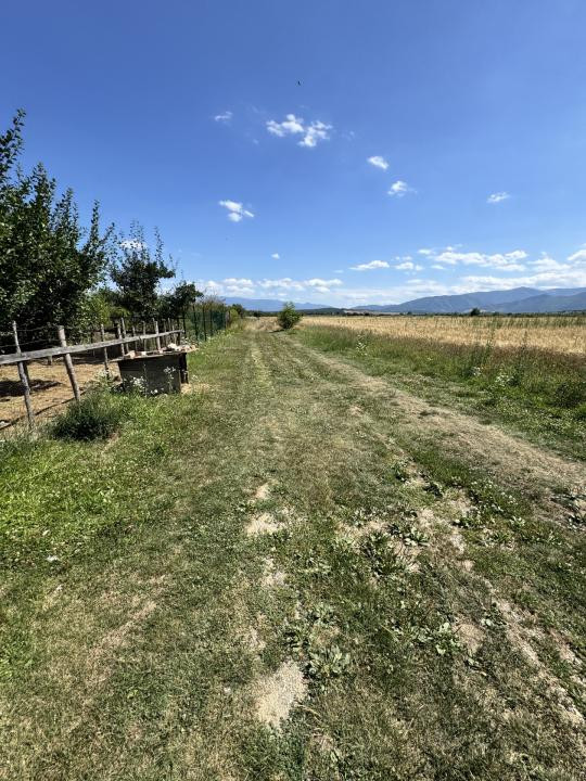 Teren 720 mp Seviș | 23 m front | Oportunitate investiție 24.480€