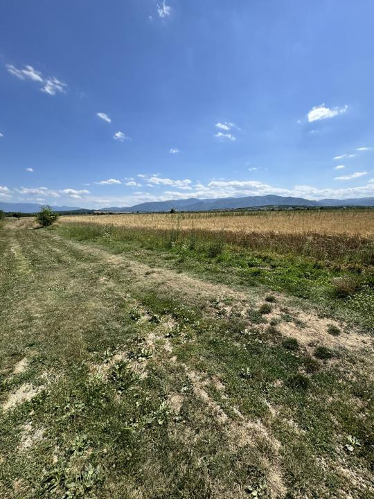Teren 720 mp Seviș | 23 m front | Oportunitate investiție 24.480€
