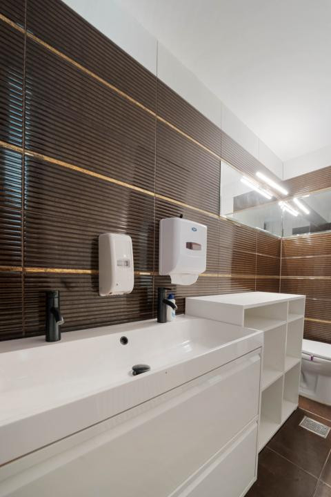 Vila individuala P+1+M*700 mp teren*337 mp construiti*Sectorul 1*Drumul Lapus