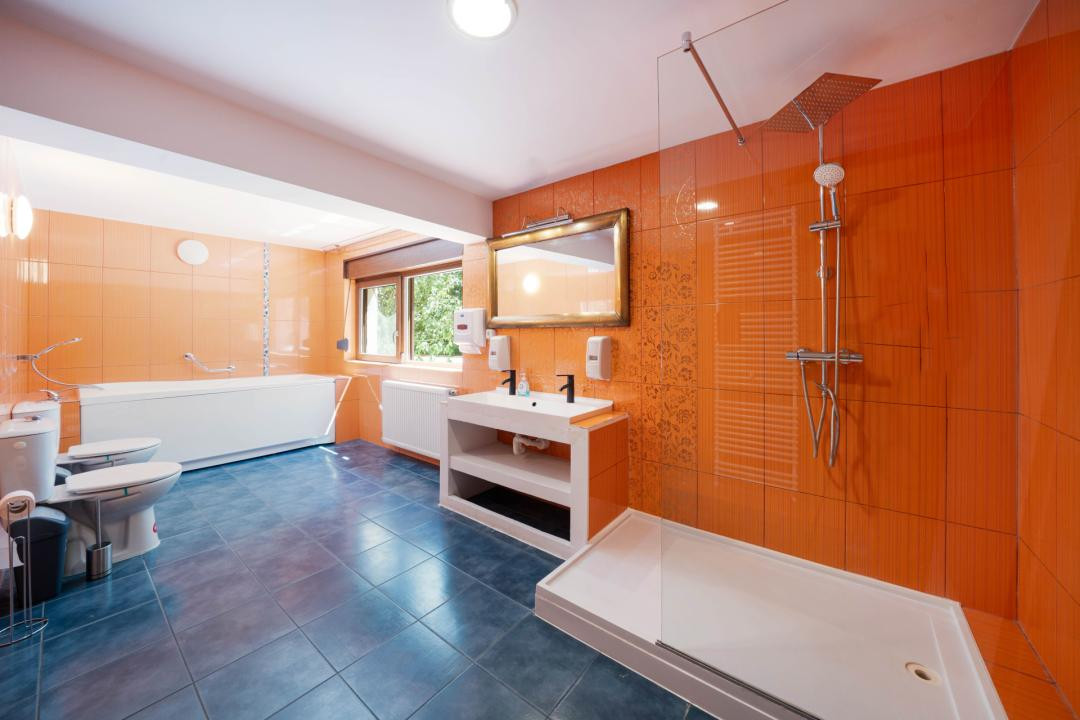 Vila individuala P+1+M*700 mp teren*337 mp construiti*Sectorul 1*Drumul Lapus