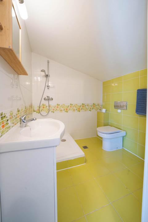 Vila individuala P+1+M*700 mp teren*337 mp construiti*Sectorul 1*Drumul Lapus