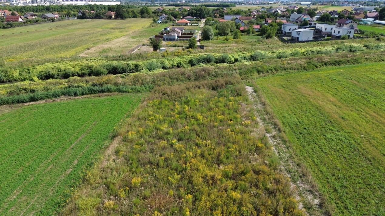 Teren intravilan,402 mp ,Stupini-Brașov.Destinatie grădină de vară si investitie