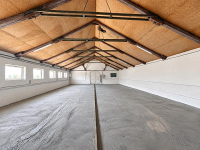 HALĂ | 200 MP | PUTERE INSTALATĂ 150 KW | HĂRMAN