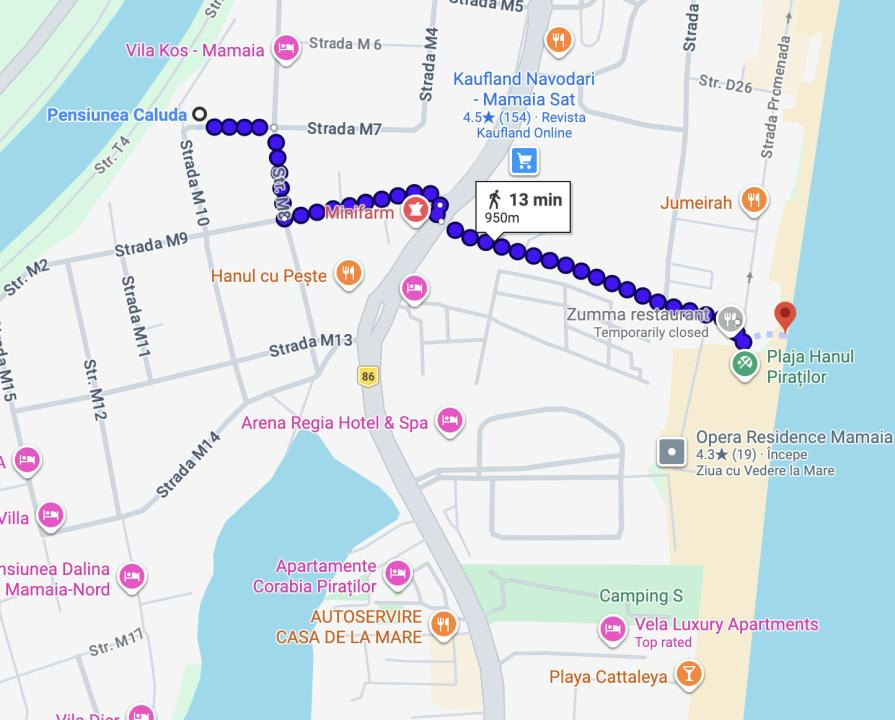 Mamaia-Sat/Pensiune cu 13 camere la cheie/Investiție/Venit imediat garantat 