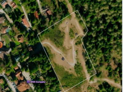 Sinaia, Cumpătu - între pădure și munte l ideal investiție