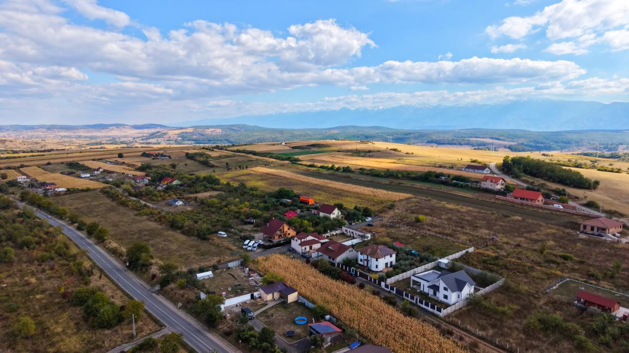 Teren extravilan  arabil 5.000 mp, acces din două drumuri – Daia